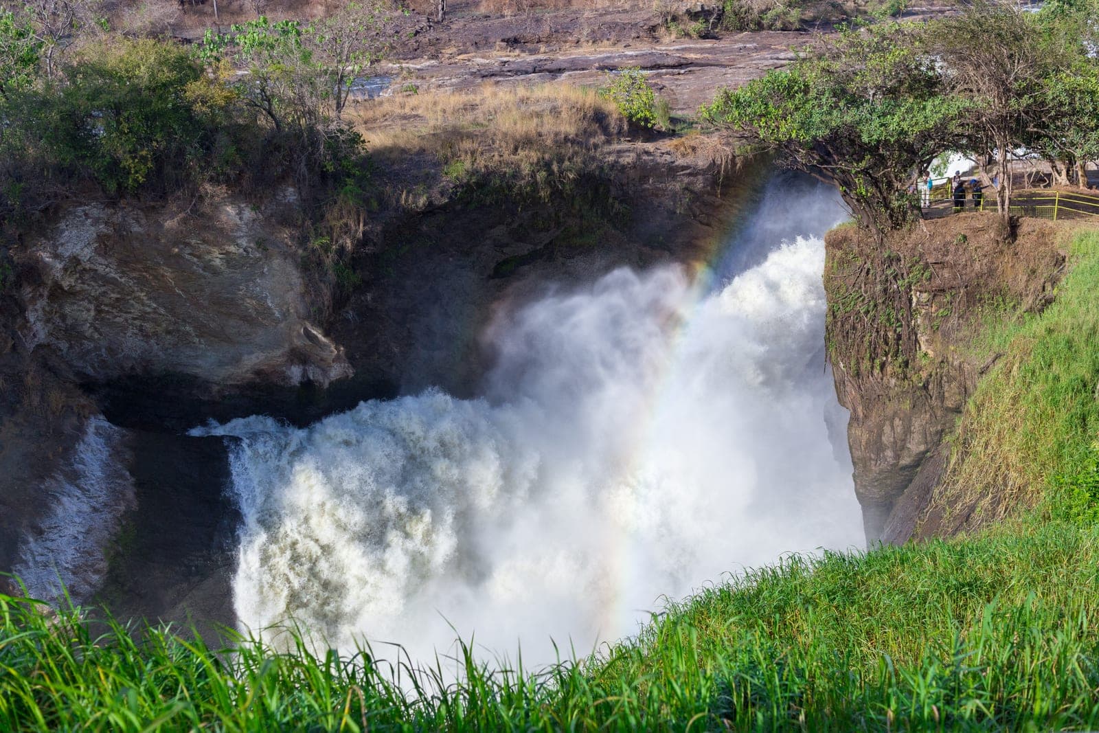 Uganda landscape