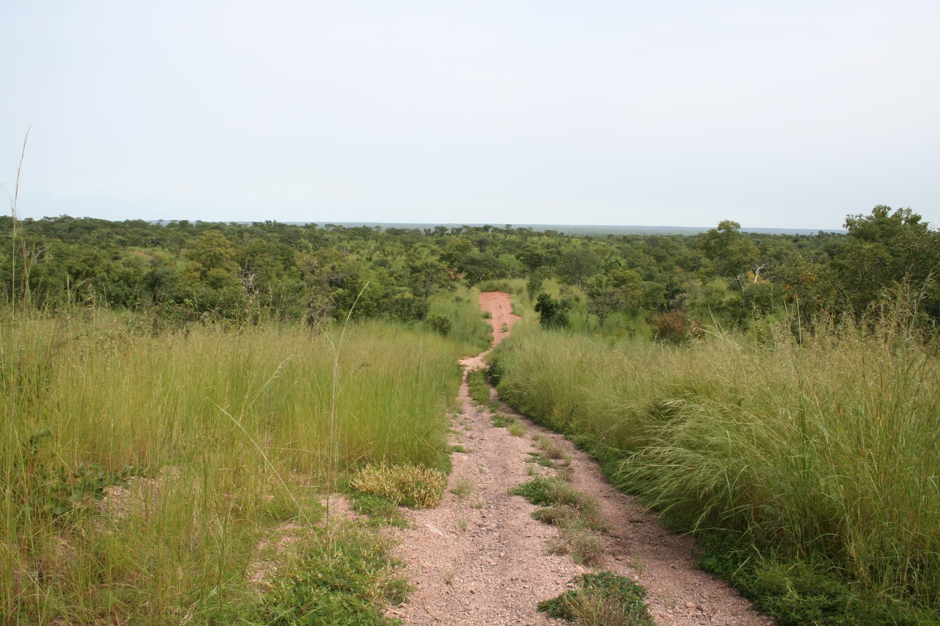 Entrée du 'Parc du W'