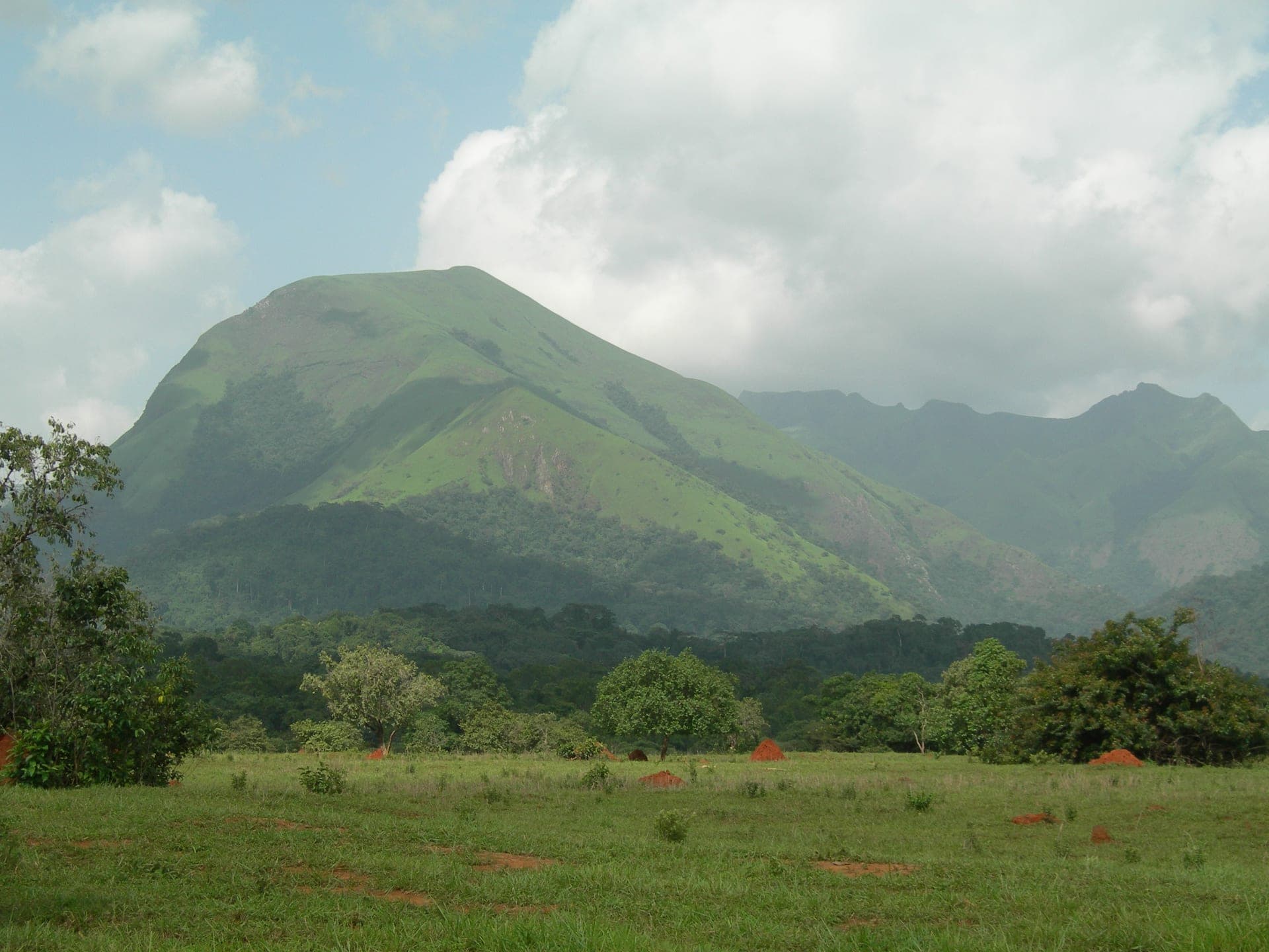 East Nimba Nature Reserve