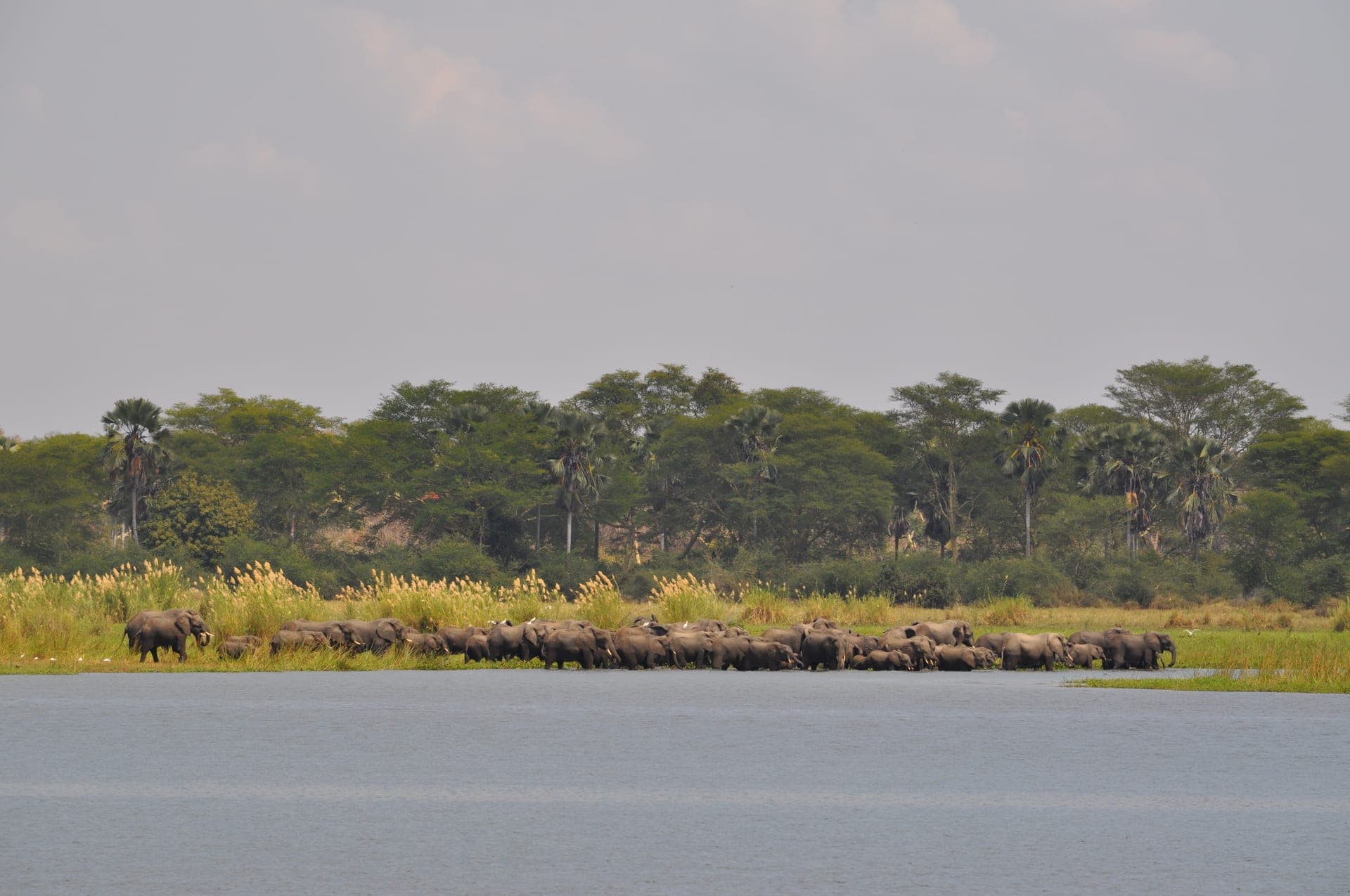 Liwonde Safari Camp Viewpoint