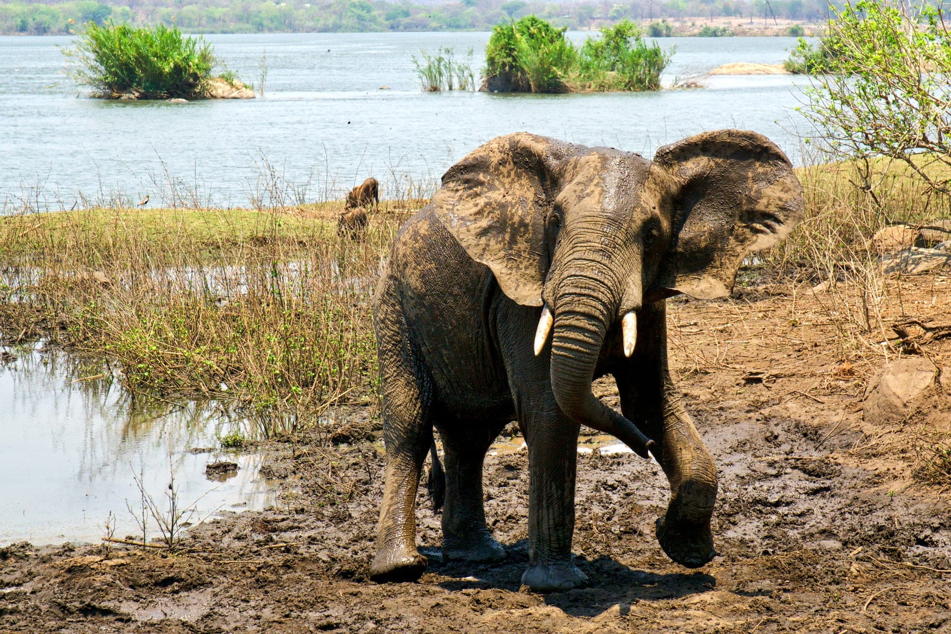 Majete Wildlife Reserve