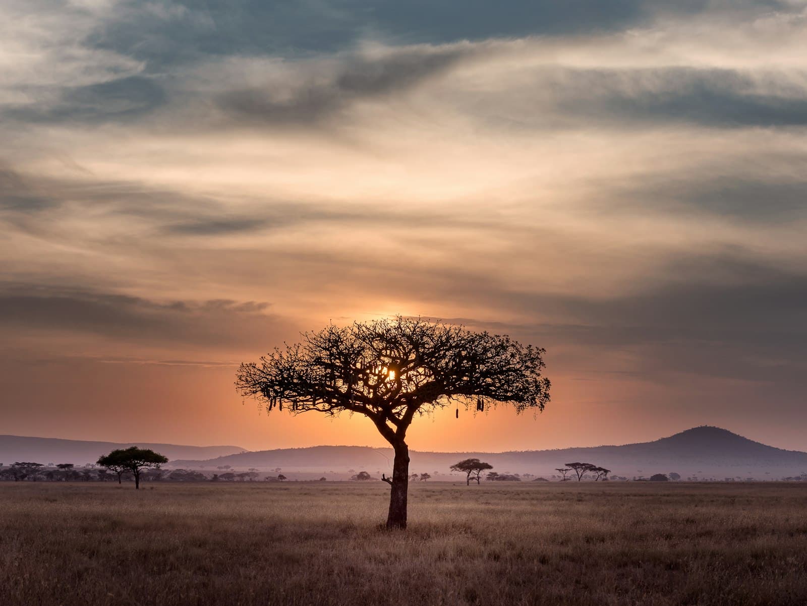 Mount Kenya summit at sunrise