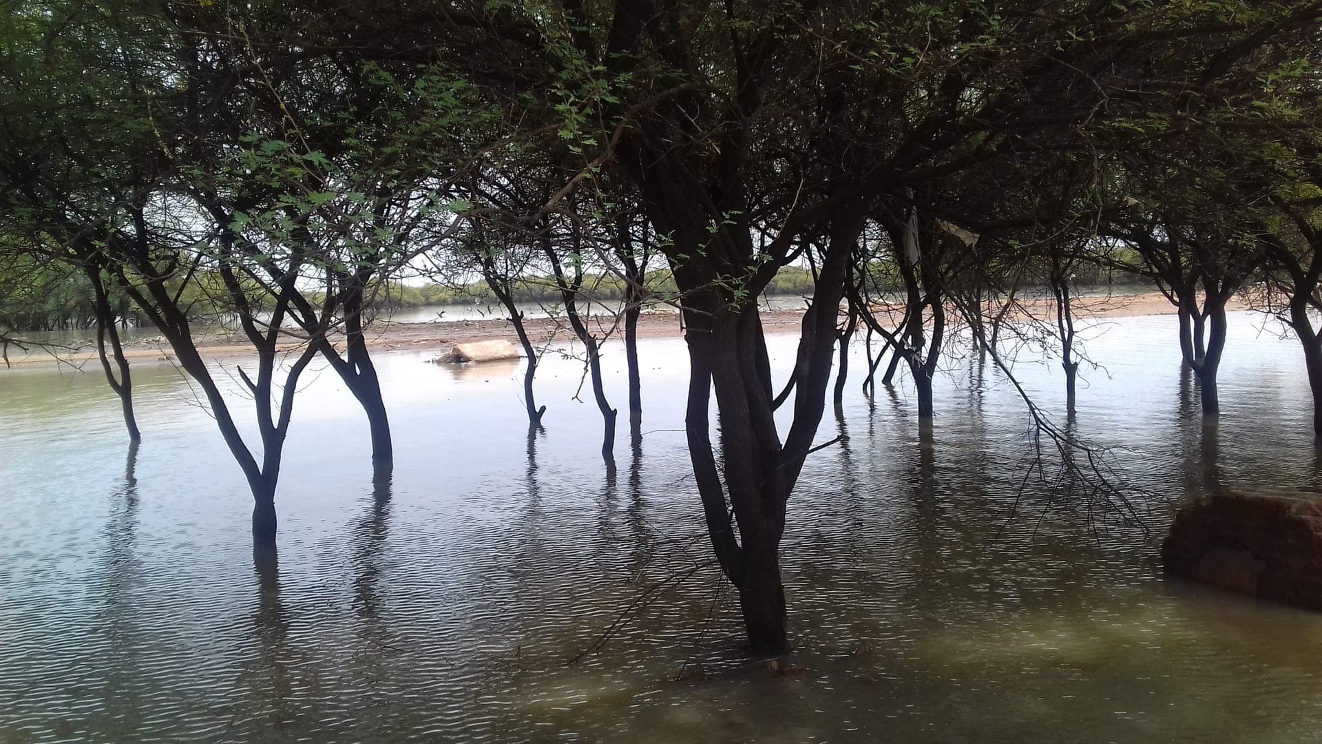 Dinder National Park boundary gate